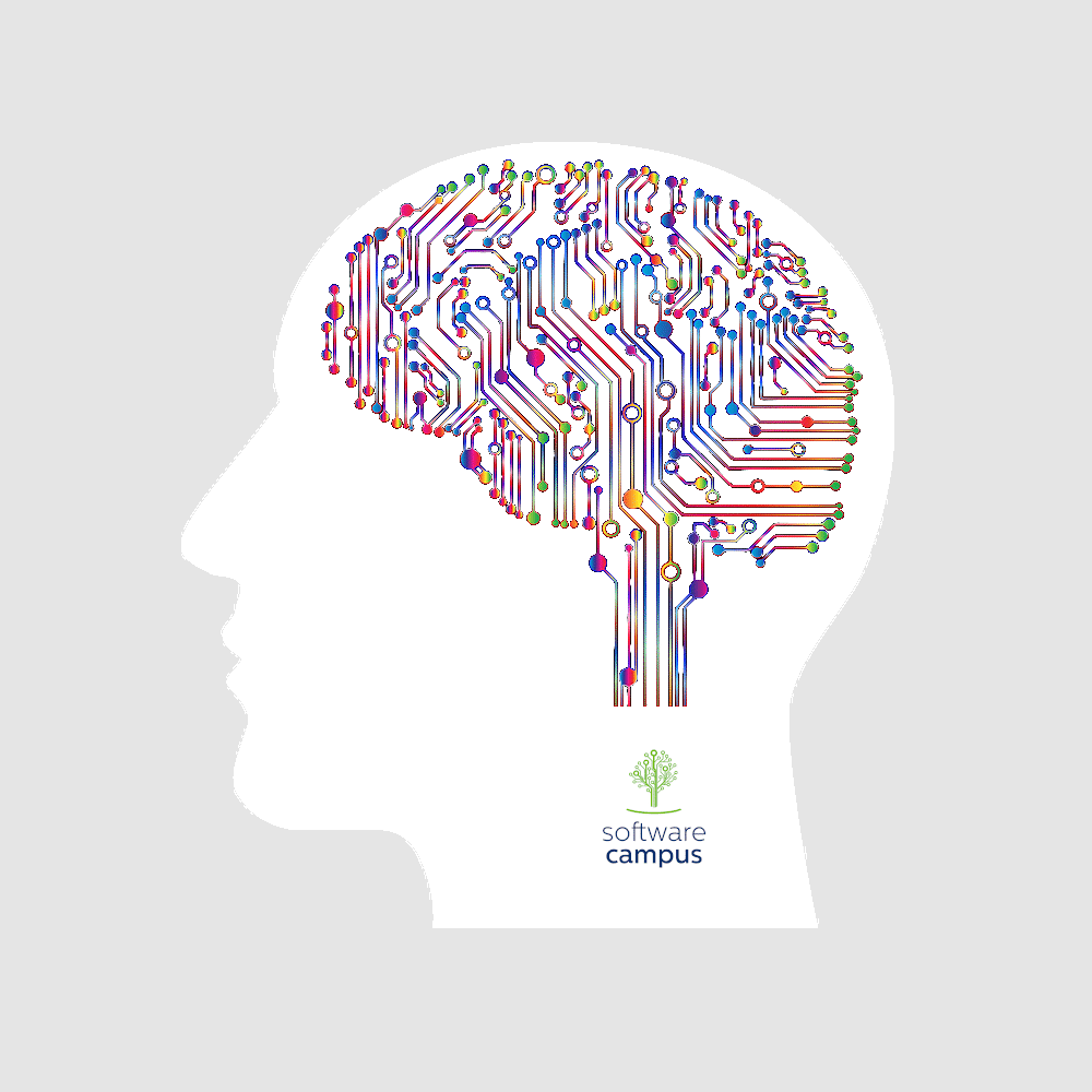 Gleichstellung & Diversität – Initiativen der Software Campus Partner