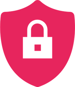 Cybersecurity+Privacy_rot_300pxhigh