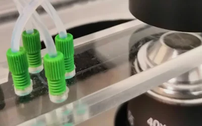 CellPhaser – Eine intuitive Machine Learning Lösung für die Analyse holographischer Zellbilder